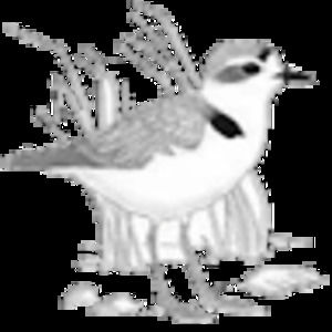 Meet your Posher, Lmr